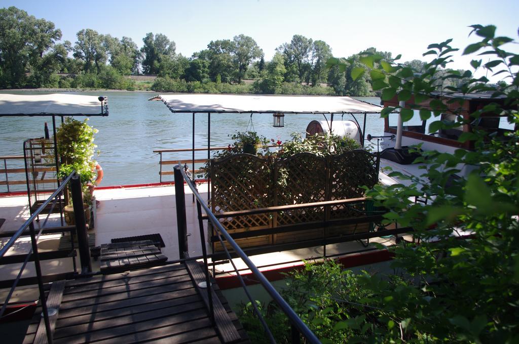 Peniche Le Hasard Bed & Breakfast Villeneuve-lès-Avignon Exterior photo